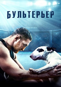 Постер к Бультерьер